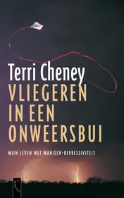 Omslag van Vliegeren in een onweersbui