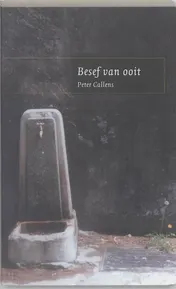 Omslag van Besef van ooit