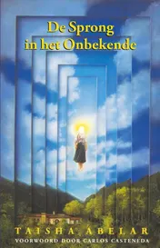 Omslag van De Sprong in het Onbekende