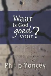 Omslag van Waar is God goed voor?