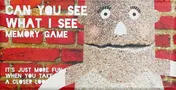 Omslag van Can you see what I see memory game