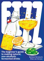 Omslag van Fizz