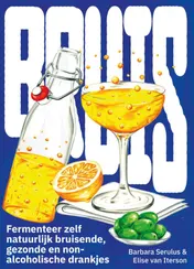 Omslag van Bruis