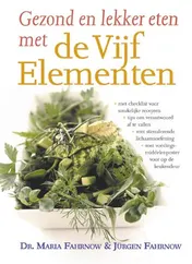 Omslag van Gezond en lekker eten met de Vijf Elementen