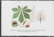 Omslag van Wenskaarten 6 ex