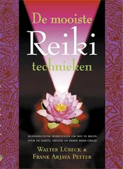 Omslag van De mooiste Reiki-technieken
