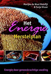 Omslag van Het Energie Herstelplan