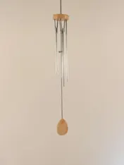 Omslag van Windgong 15 cm