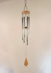 Omslag van Windgong 30 cm