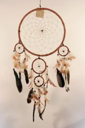 Omslag van Dreamcatchers Bruin leer 27 cm