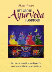 Omslag van Het Grote Ayurveda Handboek