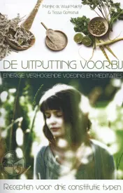 Omslag van De uitputting voorbij