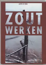 Omslag van Zoutwerken