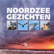 Omslag van Noordzeegezichten
