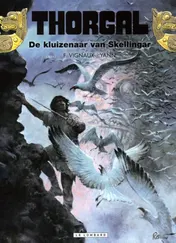 Omslag van De kluizenaar van Skellingar