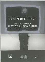 Omslag van Brein bedriegt