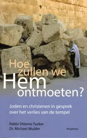 Omslag van Hoe zullen we hem ontmoeten?