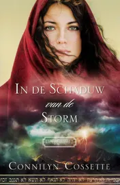 Omslag van In de schaduw van de storm