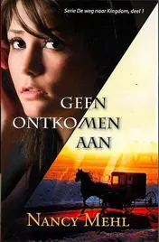 Omslag van Geen ontkomen aan