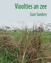 Omslag van Vioolties an zee