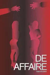 Omslag van De Affaire