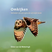 Omslag van Omkijken