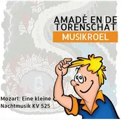 Omslag van Amadé en de torenschat
