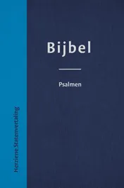 Omslag van Bijbel herziene statenvertaling blauw