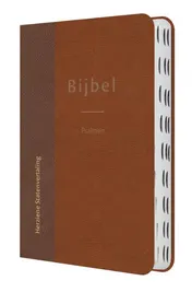 Omslag van Bijbel met psalmen