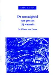 Omslag van De aanwezigheid van geesten bij waanzin