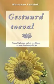 Omslag van Gestuurd toeval