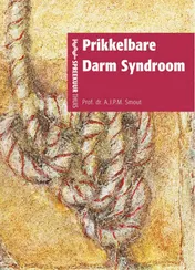 Omslag van Prikkelbare darm syndroom