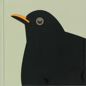 Omslag van Meer