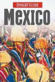 Omslag van Mexico