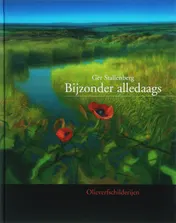 Omslag van Bijzonder alledaags