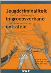 Omslag van Jeugdcriminaliteit in groepsverband ontrafeld