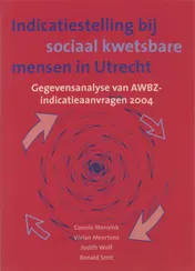 Omslag van Indicatiestelling bij sociaal kwetsbare mensen in Utrecht