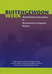 Omslag van Buitengewoon werk
