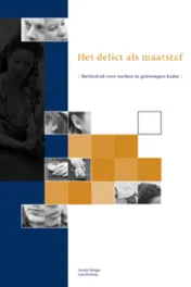 Omslag van Het delict als maatstaf