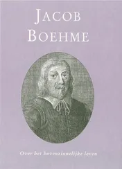 Omslag van Over het bovenzinnelijke leven