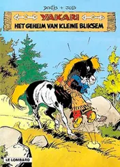 Omslag van Het geheim van kleine bliksem