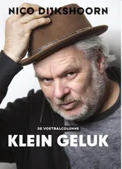 Omslag van Klein geluk