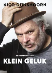 Omslag van Klein geluk
