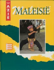 Omslag van Vragen over Maleisie