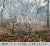Omslag van Siemen Dijkstra - à bois perdu