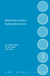 Omslag van Hoofdstukken grondrechten