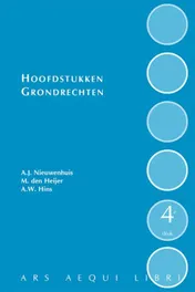 Omslag van Hoofdstukken grondrechten