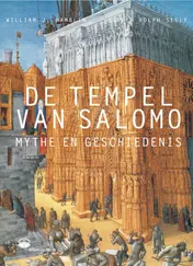 Omslag van De tempel van Salomo