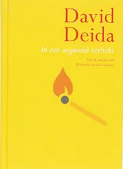 Omslag van In een oogwenk verlicht