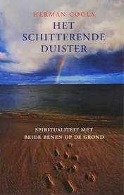 Omslag van Het schitterende duister